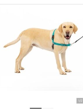 Pet safe easy walk harness